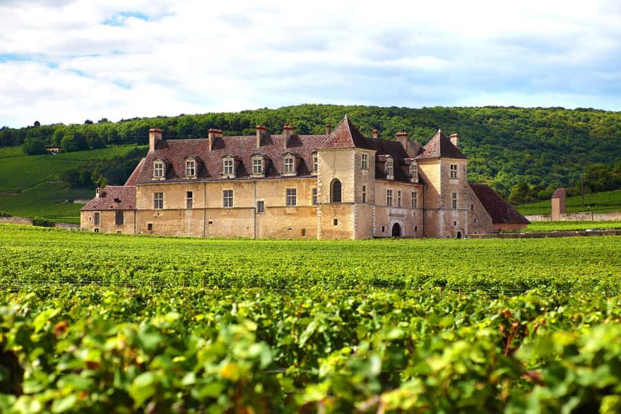 From Dijon: Côte de Nuits & Côte de Beaune Vineyards Tour - Meursault and the final white wine tasting