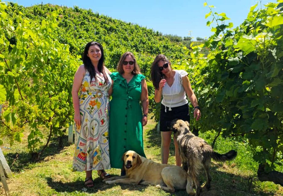 From Durrës: Albanian Wine Tasting with Vineyard & Boat Tour - From Durrës hotels to the first tasting