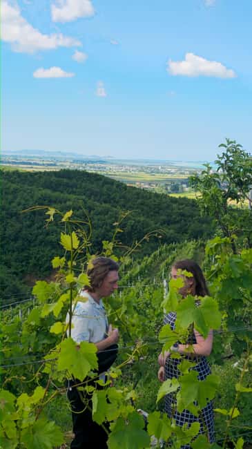 From Durrës: Albanian Wine Tasting with Vineyard & Boat Tour - Who will enjoy this Durrës day out?