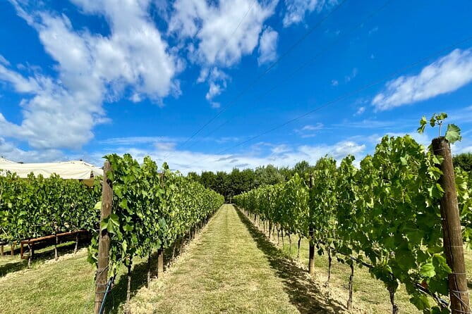 From Florence: Classic Chianti Villages and Wine Roads by Minivan - Key points to know before booking