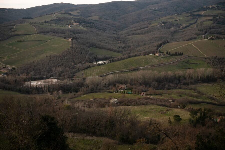 From Florence: Private Chianti Hills Tour with Tasting - Key points to know before booking