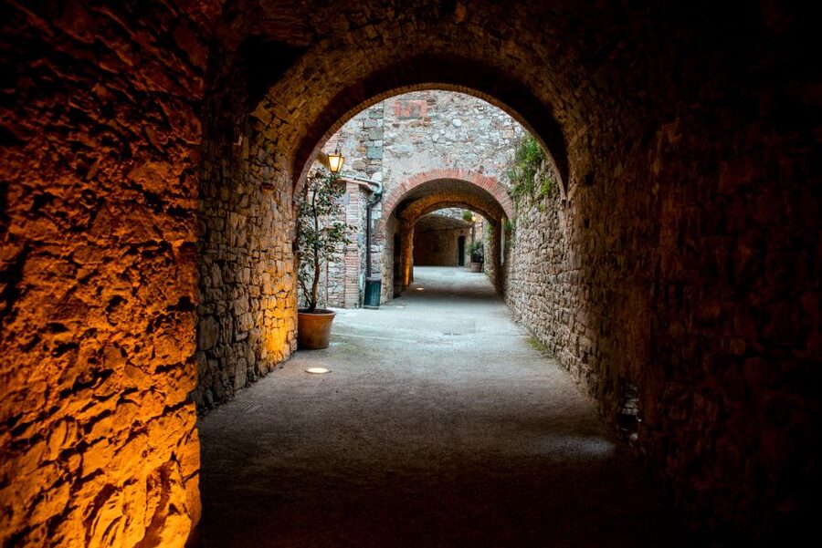 From Florence: Private Chianti Hills Tour with Tasting - Should you book it?