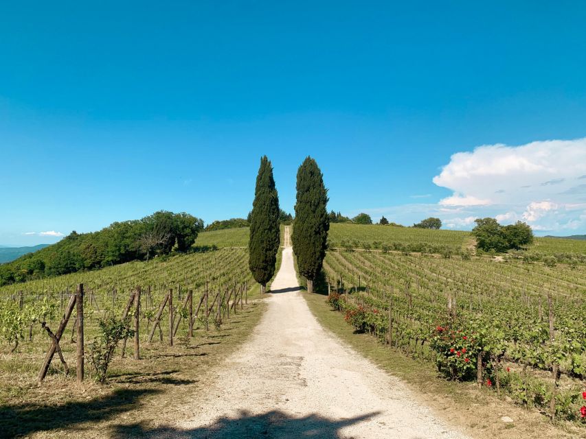 From Florence: Private Chianti Hills Tour with Tasting - The second winery and the second tasting