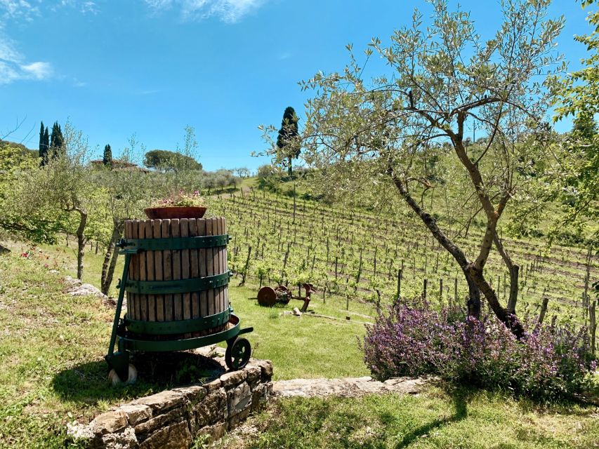 From Florence: Private Chianti Hills Tour with Tasting - Guides, languages, and the feel of the day