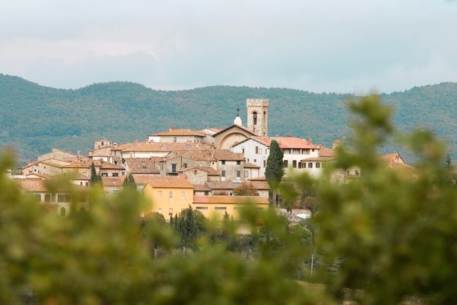 From Florence: Private Chianti Hills Tour with Tasting - Who should book this Chianti tour?