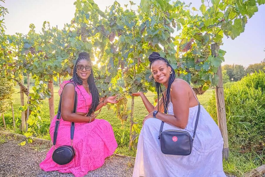 From Florence: Wine Tasting and Dinner in Chianti Vineyards - The Greve stop and the question of time