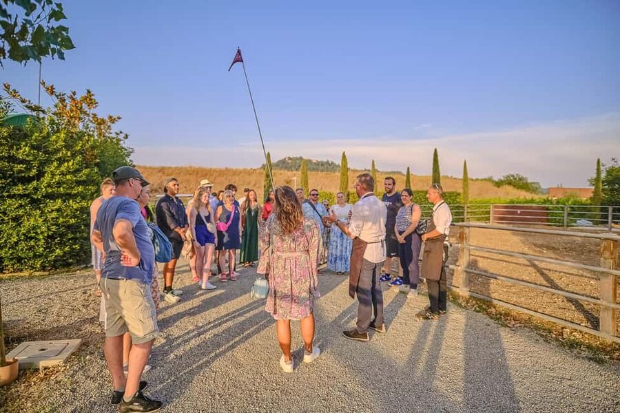 From Florence: Wine Tasting and Dinner in Chianti Vineyards - Is $141 a fair price?