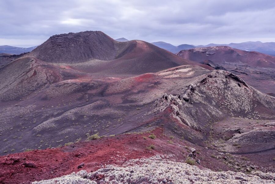 From Fuerteventura: Lanzarote Volcano and Wine Region Tour - Guides, coaches, and group size