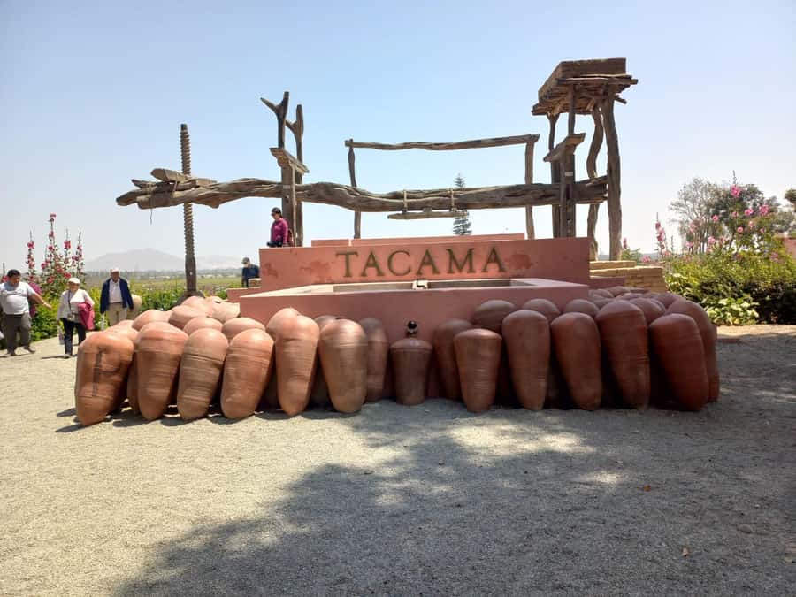 From Ica or Huacachina: Tour to Tacama Vineyard and Artisanal Winery. - Why Tacama makes this half-day worthwhile