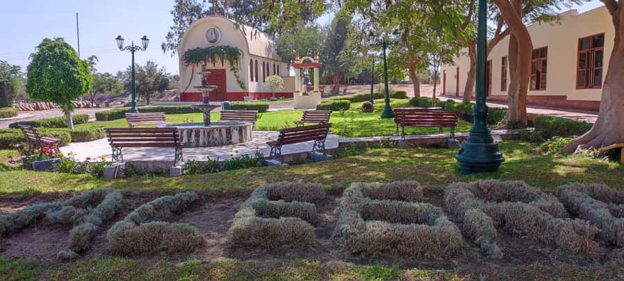From Ica or Huacachina: Tour to Tacama Vineyard and Artisanal Winery. - Two hours at Hacienda Tacama