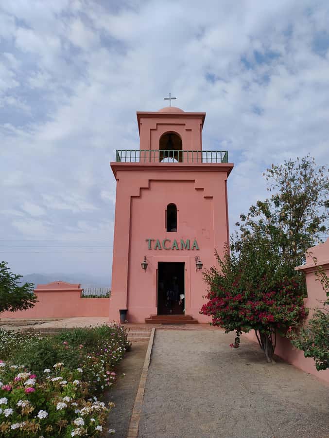 From Ica or Huacachina: Tour to Tacama Vineyard and Artisanal Winery. - Cutur Pisco and old Spanish cellars