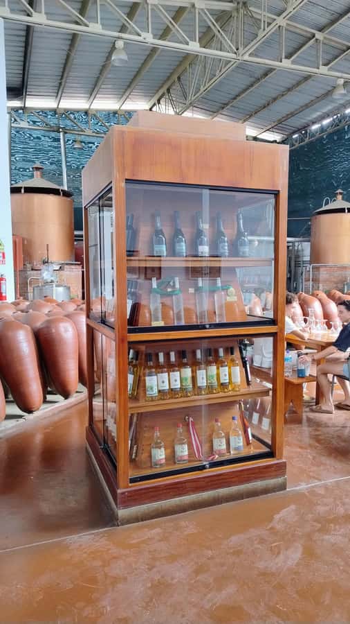 From Ica or Huacachina: Tour to Tacama Vineyard and Artisanal Winery. - Who will get the most from this tour