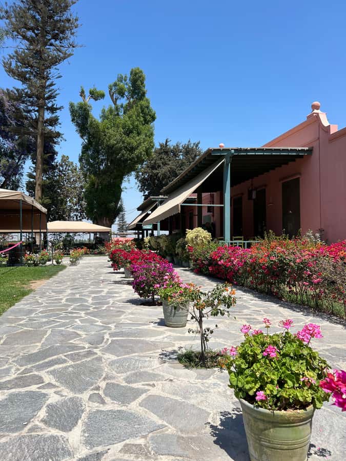 From Ica or Huacachina: Tour to Tacama Vineyard and Artisanal Winery. - What to bring for the winery route