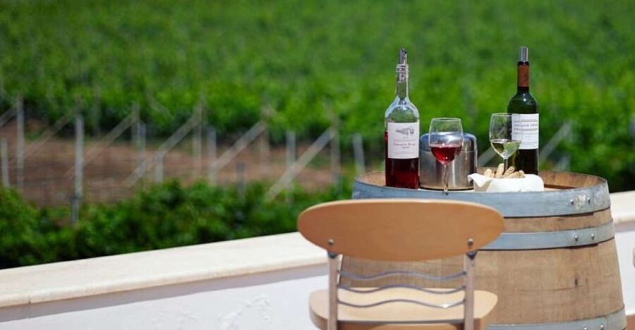 From Kos: Tour of 2 Wineries with Wine Tasting & Small Bites - Key points before you book