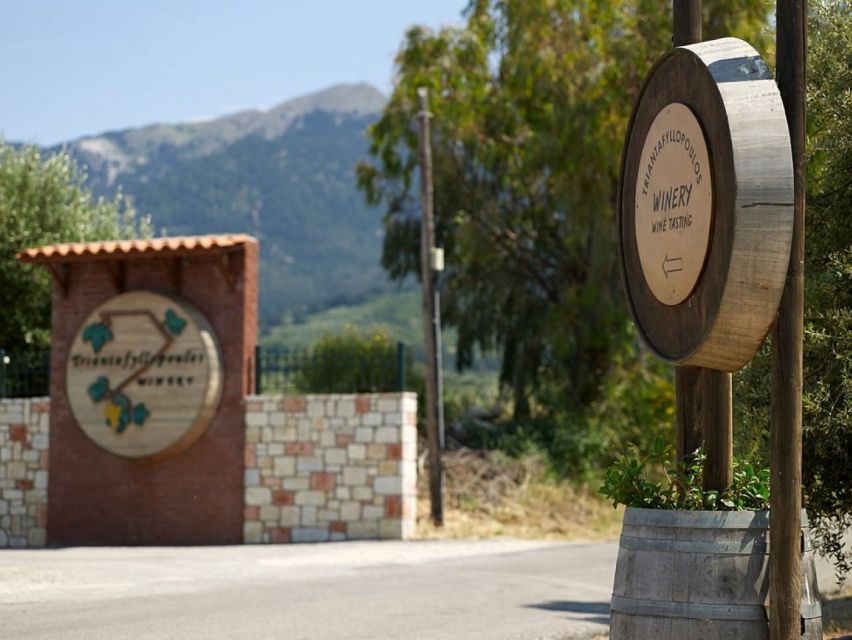 From Kos: Tour of 2 Wineries with Wine Tasting & Small Bites - Views, transport, and the pace of the afternoon