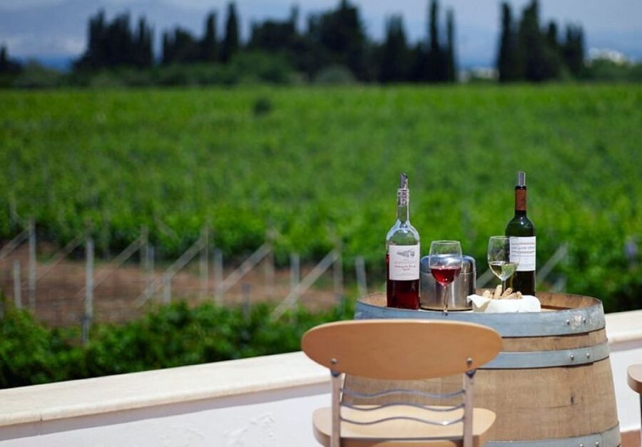 From Kos: Tour of 2 Wineries with Wine Tasting & Small Bites - Who should take this tour?
