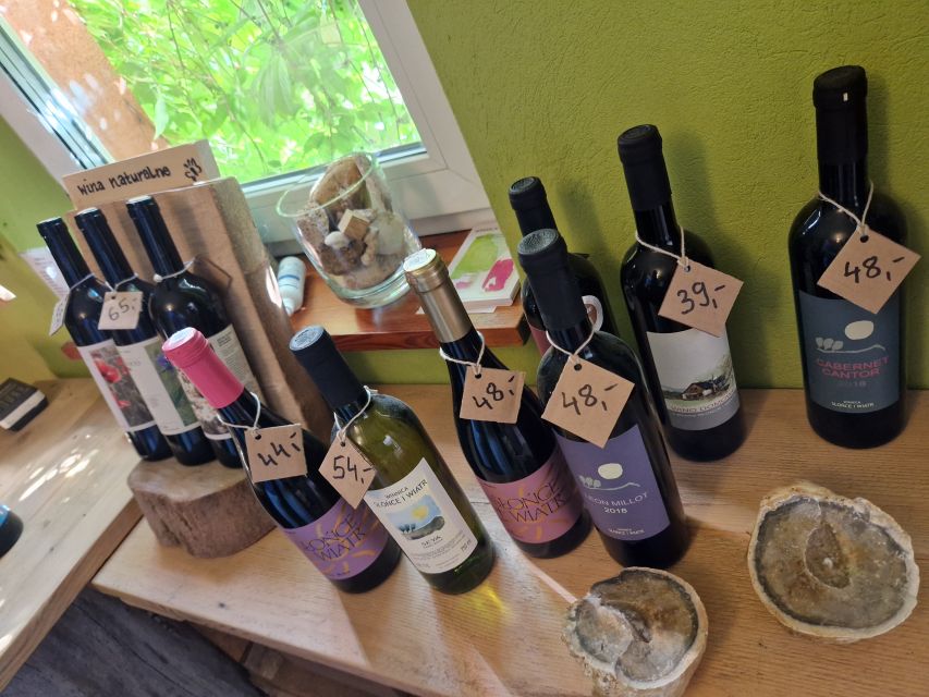 From Krakow: Wine Tasting at Vineyard - The short ride from Krakow