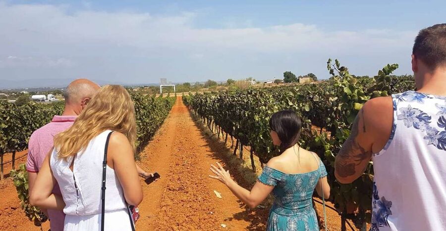 From Lagos: Private Algarve Wineries Tour with Tastings - The short transfer to Quinta João Clara