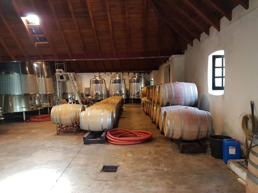 From Lagos: Private Algarve Wineries Tour with Tastings - Is $91 per person good value?