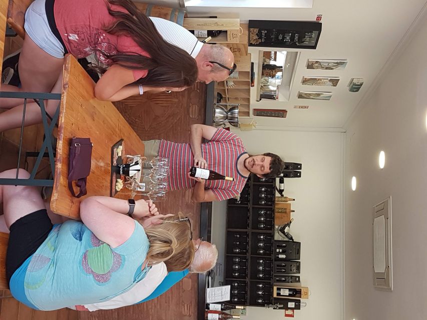 From Lagos: Private Algarve Wineries Tour with Tastings - Who should book this wine tour?