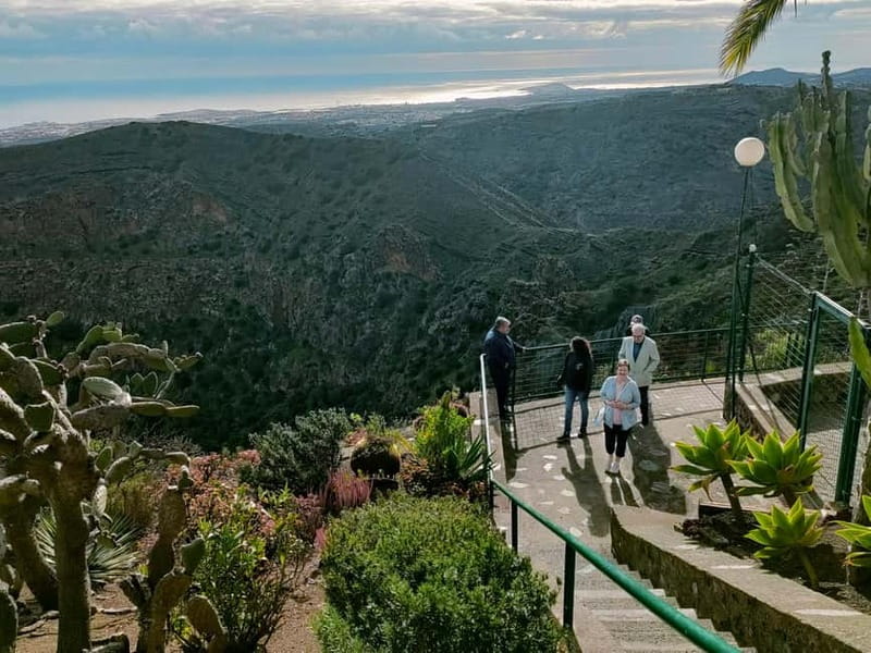 From Las Palmas: Half day tour Volcano Bandama & Vineyard - A Half-Day Route from Las Palmas to Bandama