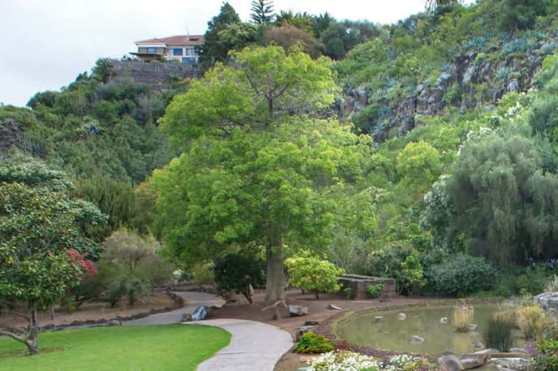 From Las Palmas: Half day tour Volcano Bandama & Vineyard - Walking the 24-Hectare Canarian Garden