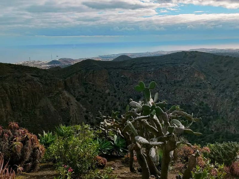 From Las Palmas: Half day tour Volcano Bandama & Vineyard - Bandama Volcano and Its Broad Crater View