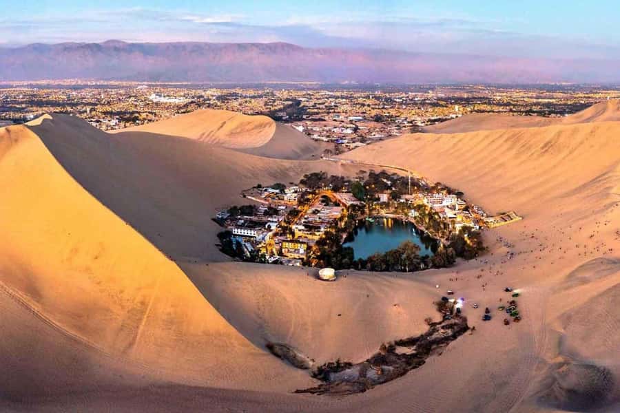 From Lima: Ballestas Islands, Huacachina and Wine Route Trip - One day, three very different Peru experiences