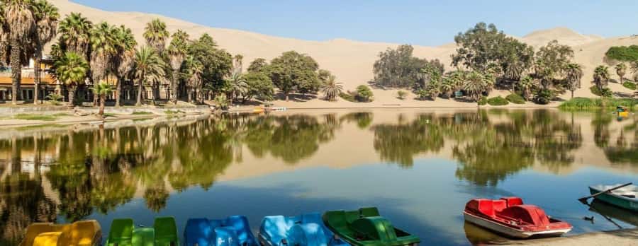 From Lima: Ballestas Islands, Huacachina and Wine Route Trip - Who will enjoy this day most?