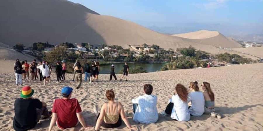 From Lima: Ballestas Islands, Huacachina and Wine Route Trip - A two-hour boat ride around the Ballestas Islands