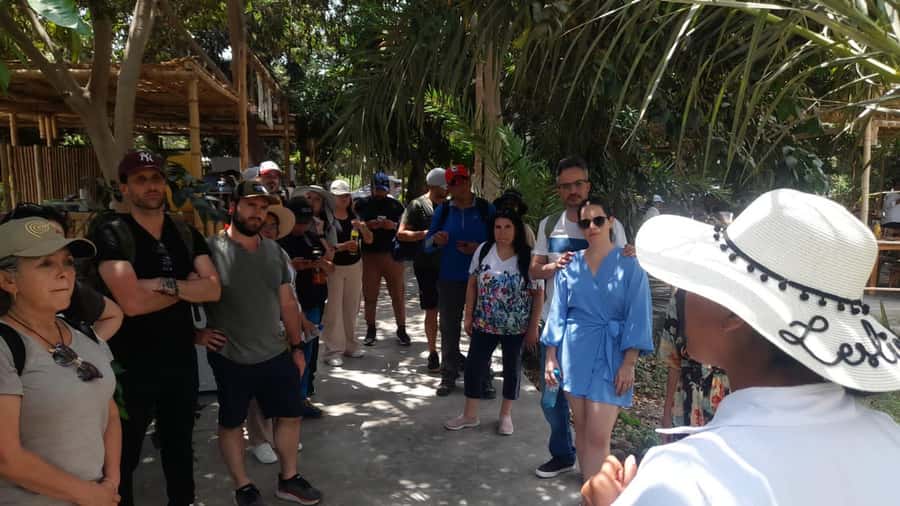 From Lima: Ballestas Islands, Huacachina, and Winery Tour. - Huacachina Oasis and the sand dunes