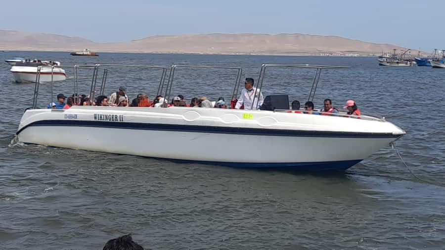 From Lima: Ballestas Islands, Huacachina, and Winery Tour. - Guides, safety, and the group experience