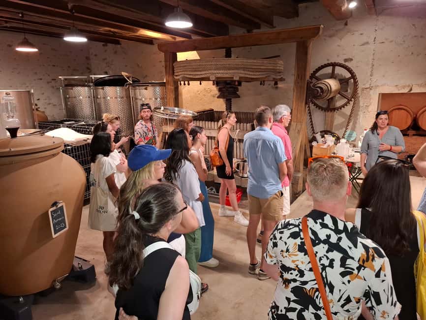 From Lyon: Beaujolais Wine Route Half-Day Tour - Through Fleurie, Morgon, and Moulin à Vent