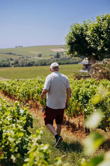 From Lyon: Beaujolais Wine Route Half-Day Tour - What the Guides Add