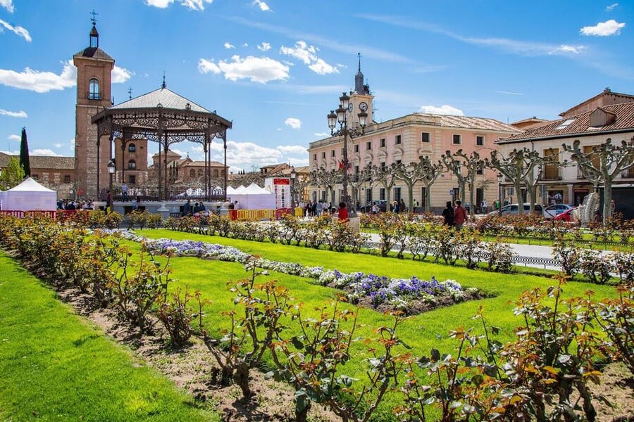 From Madrid: Alcalá de Henares, Winery Tour & Wine Tasting - Walking through Cervantes’ Alcalá de Henares