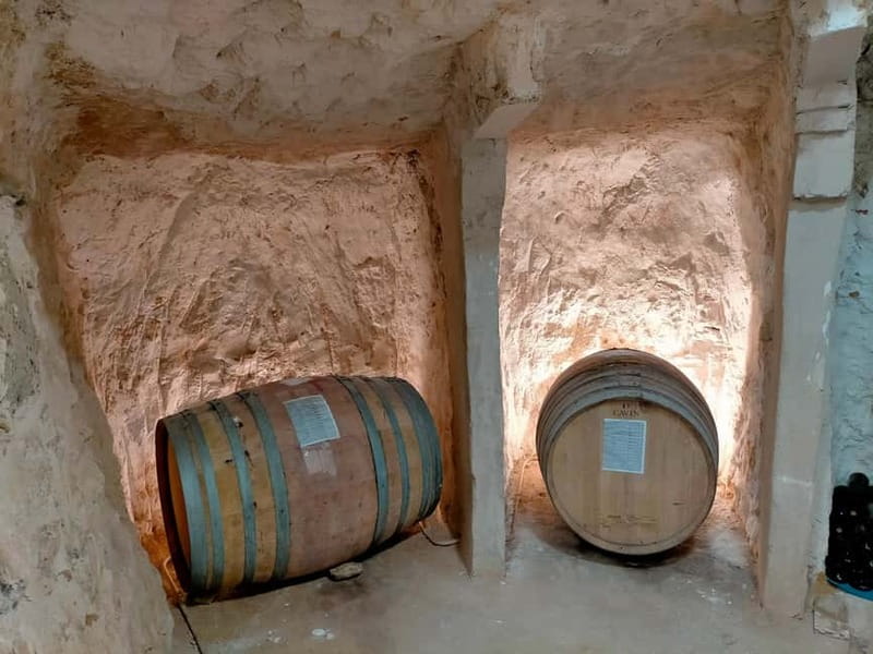 From Madrid: Ribera del Duero 3 Wineries + Traditional Lunch - The final tasting and what you will remember