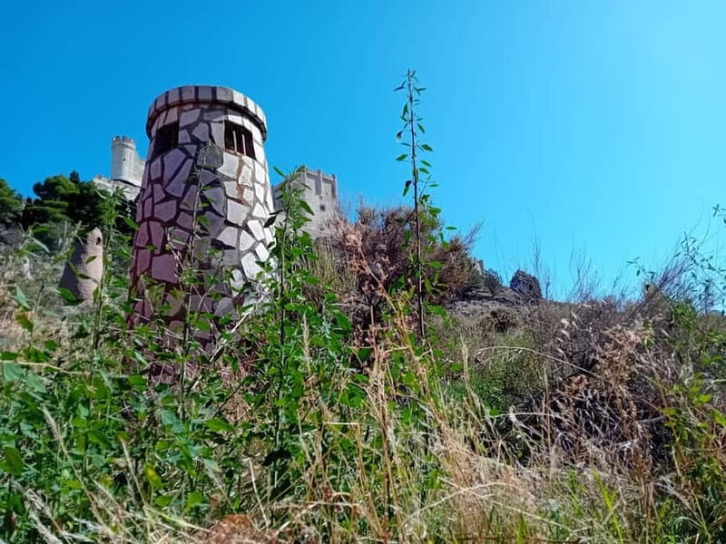 From Madrid: Ribera del Duero 3 Wineries + Traditional Lunch - What the $465 price includes