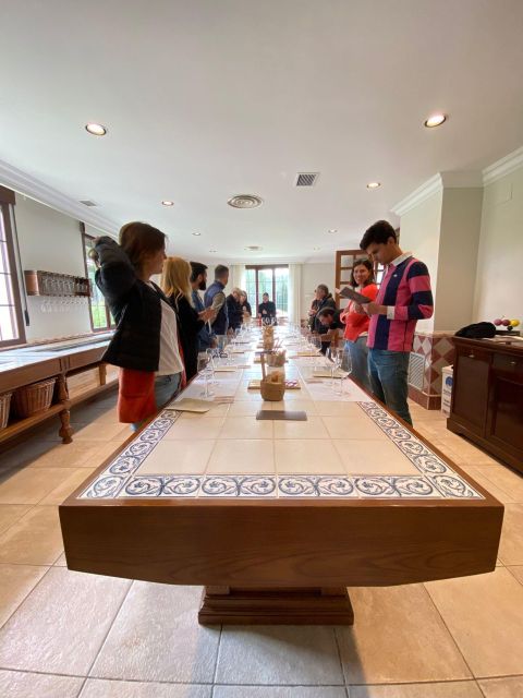 From Madrid: Ribera del Duero 3 Wineries + Traditional Lunch - Who should book this wine day