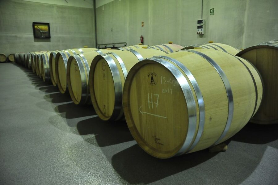 From Madrid: Ribera del Duero Tour of 3 Wineries w/ Tastings - Why Ribera del Duero makes a good Madrid day trip