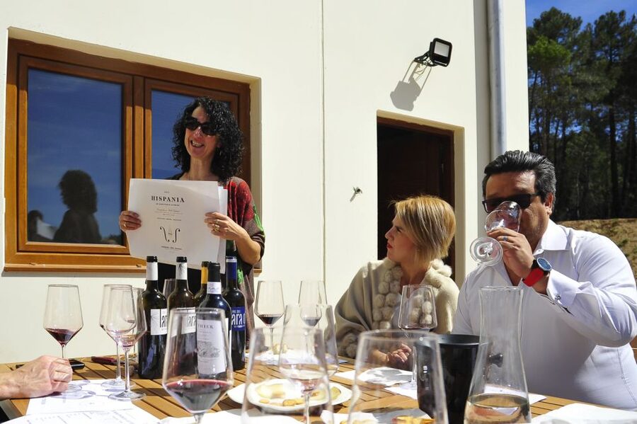 From Madrid: Ribera del Duero Tour of 3 Wineries w/ Tastings - Lunch in the wine country