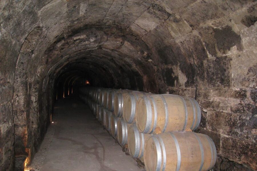 From Madrid: Ribera del Duero Tour of 3 Wineries w/ Tastings - Transport, comfort, and the long return
