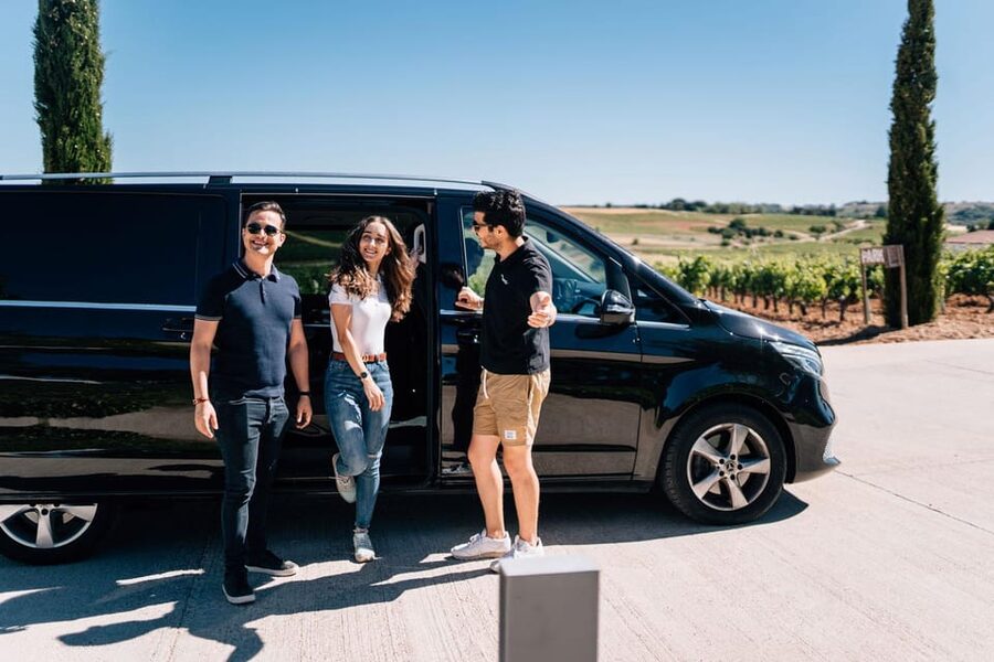 From Madrid: Ribera del Duero Winery and Segovia Tour - Who Will Enjoy This Day Most?