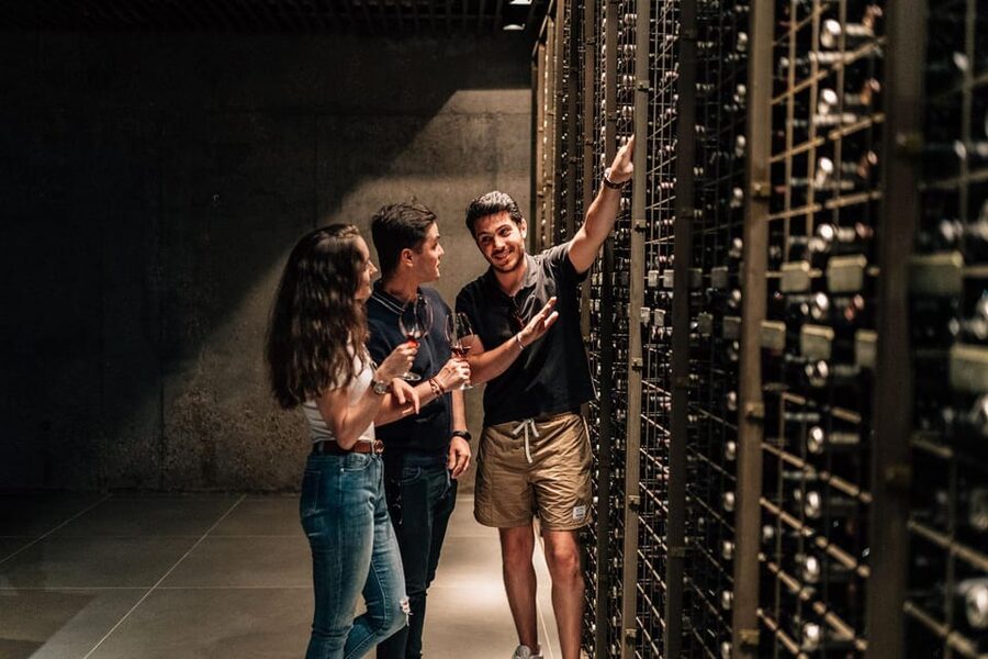 From Madrid: Ribera del Duero Winery and Segovia Tour - Practical Details That Matter