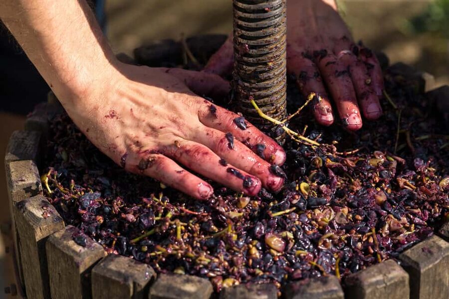 From Madrid to Ribera del Duero: Hidden Vineyards and Towns - Meeting Ribera del Duero beyond the bottle