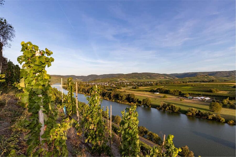 From Madrid to Ribera del Duero: Hidden Vineyards and Towns - What the small group changes