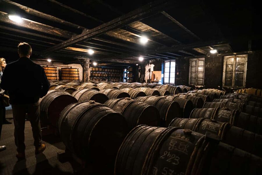 From Madrid to Ribera del Duero: Hidden Vineyards and Towns - Is the $152 price good value?
