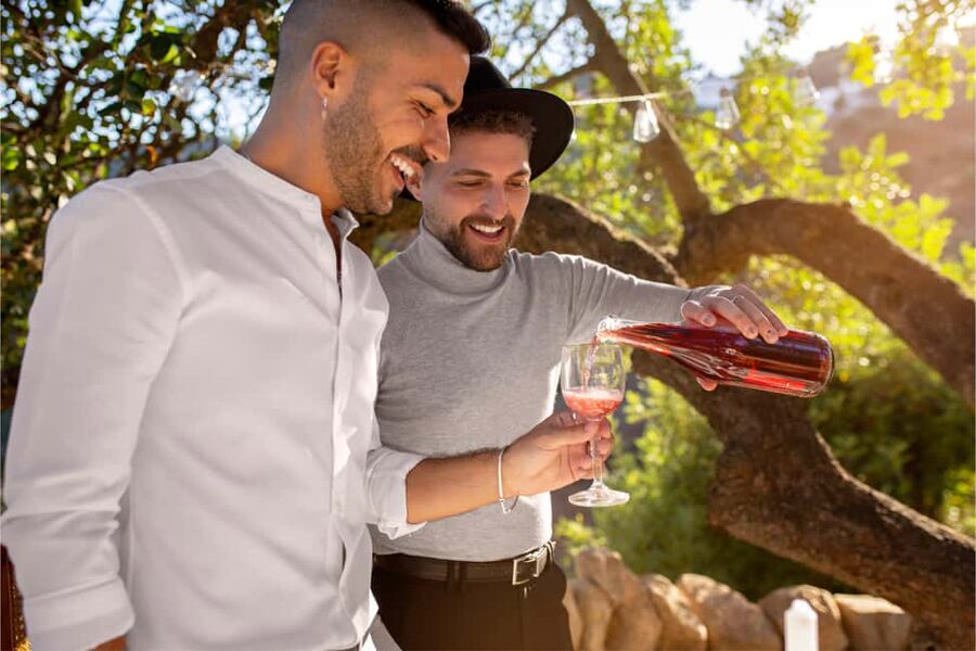 From Madrid to Ribera del Duero: Hidden Vineyards and Towns - Should you book it?