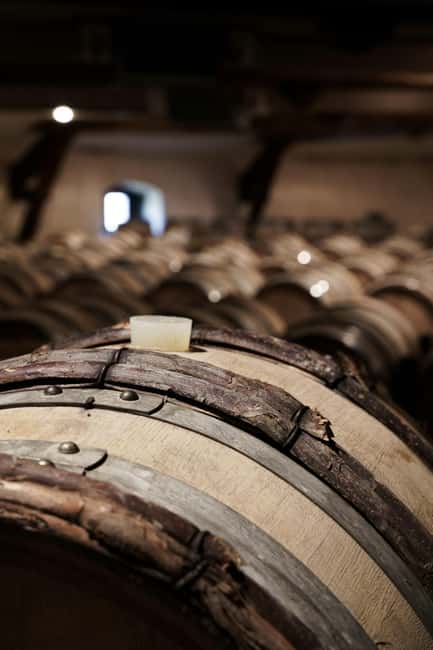 From Madrid to Ribera del Duero: Hidden Vineyards and Towns - Peñafiel, lunch, and the castle setting