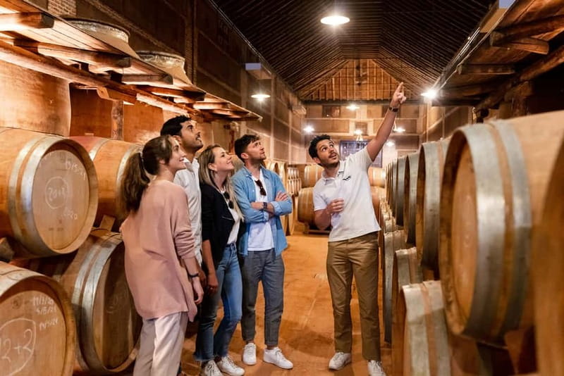 From Madrid: Toledo Guided Tour & Winery Visit with Tasting - Key points at a glance