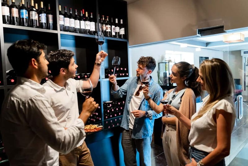 From Madrid: Toledo Guided Tour & Winery Visit with Tasting - Who should book this experience?